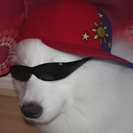 Kowismo profile picture